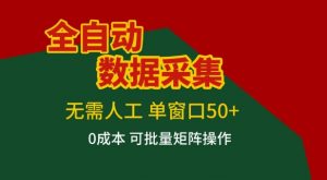 全自动数据采集项目，无需人工，单窗口可达50+收益，操作简单无难度，一个人也能轻松实现矩阵【揭秘】-柯南聊项目