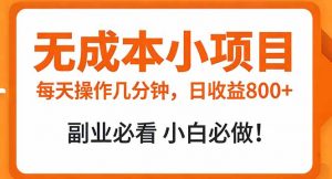 无成本小项目 每天操作几分钟，真实日收益800+ 副业必看 小白必做！-柯南聊项目