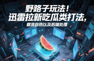 野路子玩法！迅雷拉新吃瓜类打法，截流自热以及后端处理-柯南聊项目