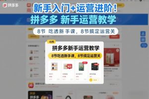 新手入门+运营进阶!拼多多新手运营教学,8节吃透新手课,8节搞定运营关-柯南聊项目