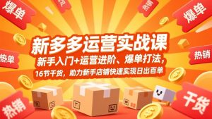 拼多多运营实战课，新手入门+运营进阶、爆单打法，16节干货，助力新手店铺快速实现日出百单-柯南聊项目