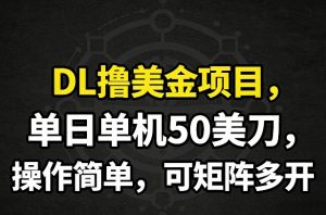 DL撸美金项目，单日单机50美刀，操作简单，可矩阵多开-柯南聊项目