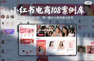 小红书电商108案例库，百W利润分析，带一部分人先冲进小红书【文档】-柯南聊项目