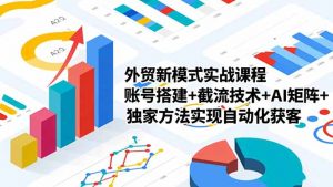 外贸新模式实战课程-更新2月,账号搭建+截流技术+AI矩阵+独家方法实现自动化获客-柯南聊项目