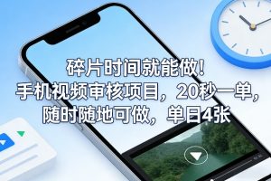 碎片时间就能做！手机视频审核项目，20秒一单，随时随地可做，单日4张+【揭秘】-柯南聊项目