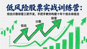 低风险股票实战训练营:低估分散排雷三箭齐发,手把手教你构建十年十倍永续组合-柯南聊项目