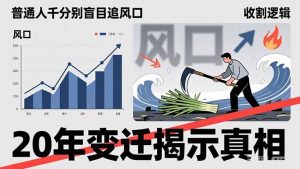 普通人千万别盲目追风口，20年变迁揭示真相，看懂收割逻辑才能避免成为接盘侠-柯南聊项目