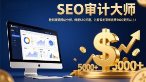 SEO审计大师:教你精通网站分析,修复SEO问题,为有效的审核收费5000美元以上!-柯南聊项目