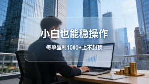2026新项目，小白也能稳操作，每单盈利1000+上不封顶-柯南聊项目