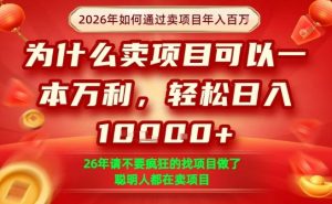 一单净利润1K+，26年想年入100个W，死磕卖项目就够了【揭秘】-柯南聊项目