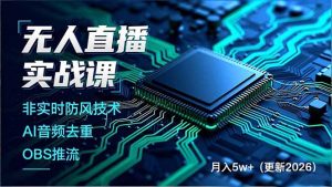 无人直播实战课(更新3月-柯南聊项目