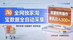 全网独家，淘宝数据全自动采集项目，批量可矩阵，单机轻松日入300【揭秘】-柯南聊项目