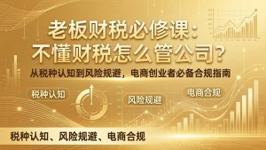 老板财税必修课:不懂财税怎么管公司?从税种认知到风险规避,电商创业者必备合规指南-柯南聊项目