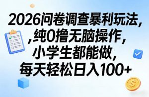 2026问卷调查暴利玩法，纯0撸无脑操作，小学生都能做，每天轻松日入100+【揭秘】-柯南聊项目