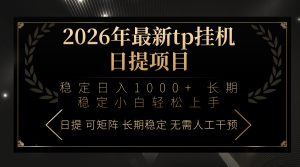 2026年最新tp挂机日提项目：稳定日入1000+小白轻松上手-柯南聊项目