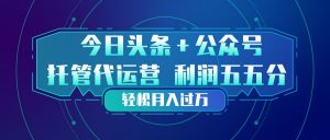 头条加公众号 托管代运营 利润分成模式 轻松月入过万-柯南聊项目