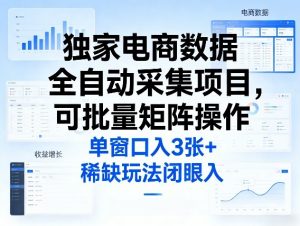 独家电商数据全自动采集项目，可批量矩阵操作，单窗口日入3张+，稀缺玩法闭眼入【揭秘】-柯南聊项目