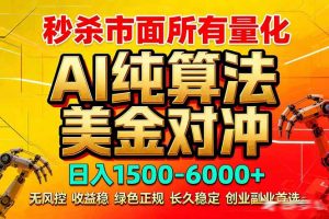 2026全网首发黑马项目，AI美金算法对冲，日入2000-6000+，稳定长效0风险，彻底告别996死工资-柯南聊项目