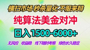 2026美金掘金新风口-纯算法对冲震撼上线！日入1500-6000+，长久合规稳健，轻松摆脱死工资-柯南聊项目