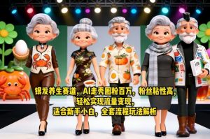银发养生赛道，AI走秀圈粉百万，粉丝粘性高，轻松实现流量变现，适合新手小白，全套流程玩法解析-柯南聊项目
