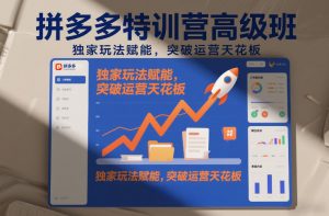 拼多多特训营高阶班,独家玩法赋能,突破运营天花板(更新26年3月27日)-柯南聊项目