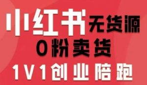 小红书无货源0粉电商课,开店准备、选品策略、笔记撰写、视频剪辑、数据分析、账号打造、资料文档(更新26年3月16日)-柯南聊项目