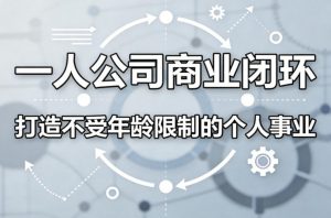 一人公司商业闭环,打造一份不受年龄限制的个人事业-柯南聊项目