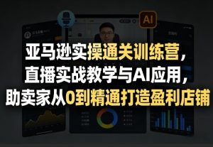 亚马逊实操通关训练营,直播实战教学与AI应用,助卖家从0到精通打造盈利店铺(更新4月2日)-柯南聊项目