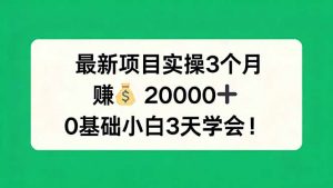最新项目实操3个月，赚钱20000+，0基础小白3天学会！-柯南聊项目