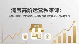 淘宝高阶运营私家课(更新26年4月-柯南聊项目