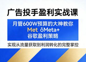 广告投手盈利实战课，月管600W预算的大神教你Meta+谷歌盈利策略，实现从流量获取到利润转化的完整掌控-柯南聊项目