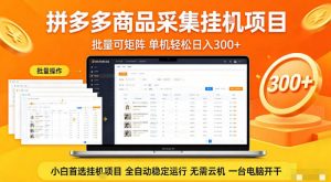 拼多多商品信息全自动采集项目,批量可矩阵,单机轻松日入300+,无需云机一台电脑开干【揭秘】-柯南聊项目