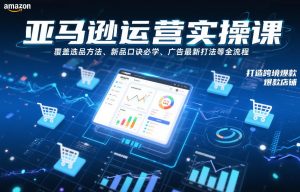 亚马逊运营实操课,覆盖选品方法、新品口诀必学、广告最新打法等全流程,打造跨境爆款店铺(更新4月)-柯南聊项目