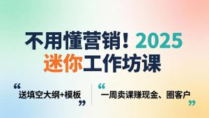 不用懂营销!2025 迷你工作坊课:送填空大纲 + 模板,一周卖课赚现金、圈客户-柯南聊项目