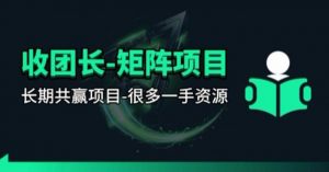 【团长合作】视频矩阵项目_招发手矩阵+剪辑师,共赢项目【揭秘】-柯南聊项目