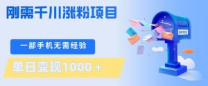 刚需千川涨粉项目,一部手机无需技术,单日变现1k+,当天做当天见收益【揭秘】-柯南聊项目